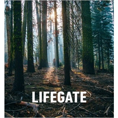 lifegate